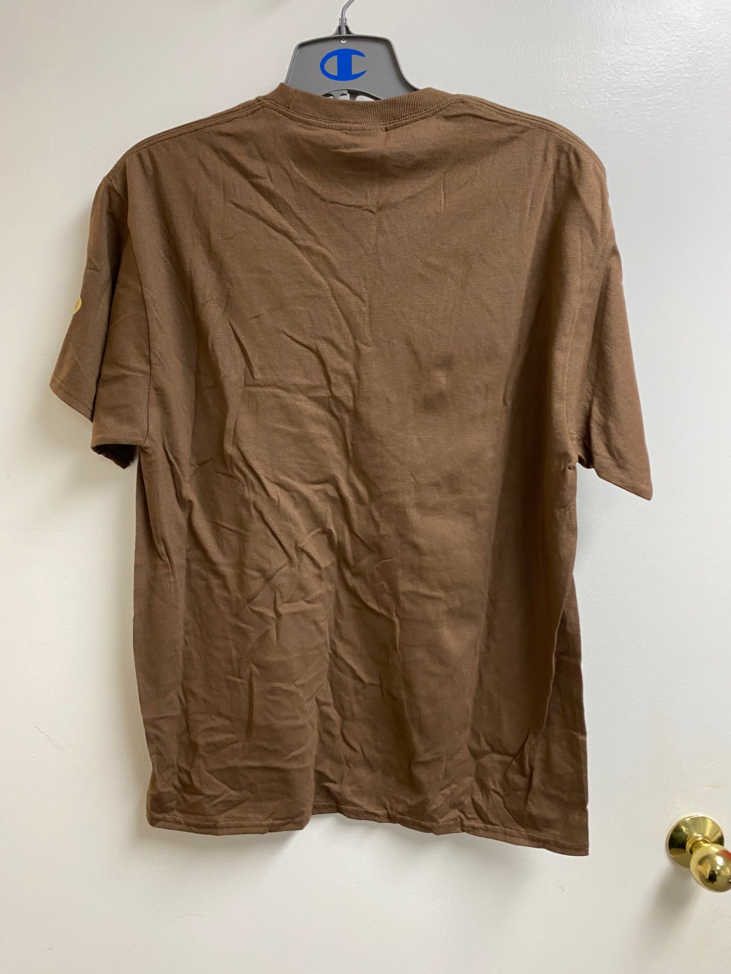 Declaration of Independence T-Shirt (Brown)